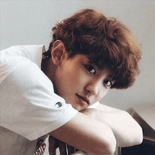 mec, chanel, pak chanyeol, exo chanyeol, profil pak chanel