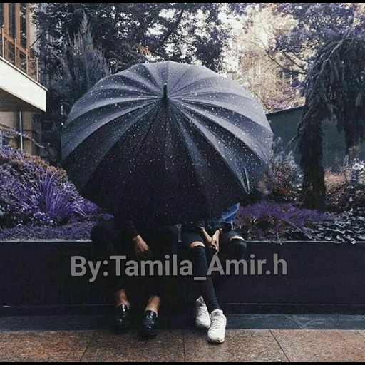 зонты, зонтики, дождь зонт, зонт большой, зонт под дождем