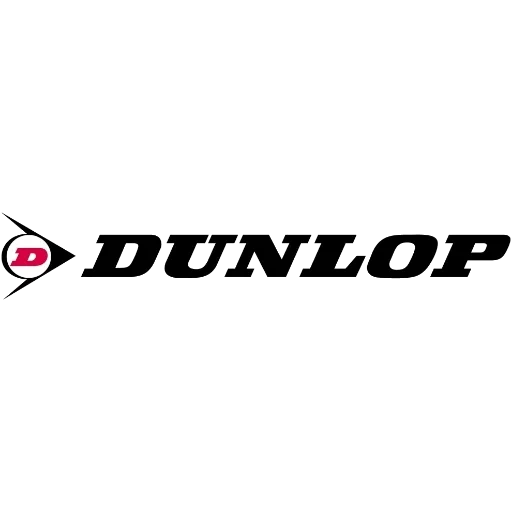 шины бриджстоун логотип, dunlop логотип, наклейка dunlop, наклейки для авто, данлоп шины логотип