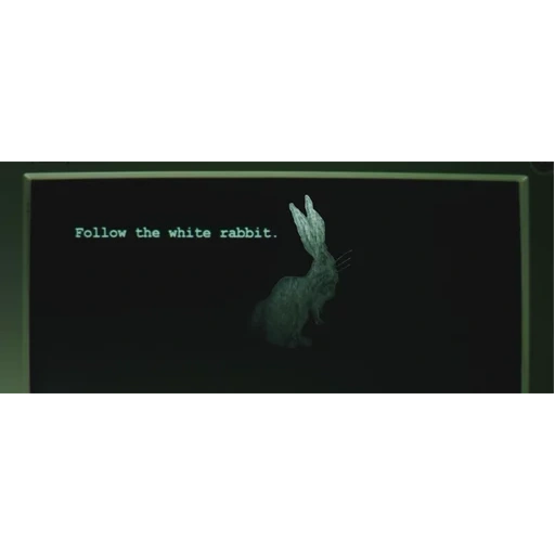 follow the white rabbit, follow the white rabbit матрица, следуй за белым кроликом, офис follow the white rabbit, белый кролик матрица
