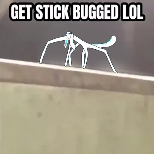 stick bug, stickbugged lol, stick bugged lol, get stick bugged lol, get stick bugged lol r34