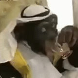 enfants, people, monkey arab, montagne sacrée 1973, singe gai