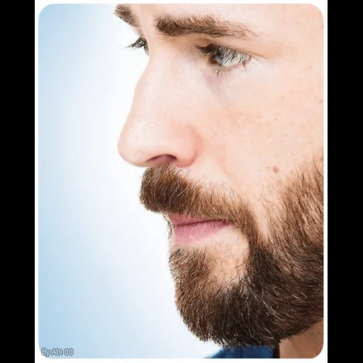 борода, мужчина, усы борода, мужская борода, бородатый мужчина