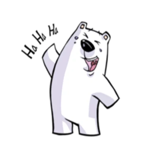 bear, white bear, polar bear, polar bear