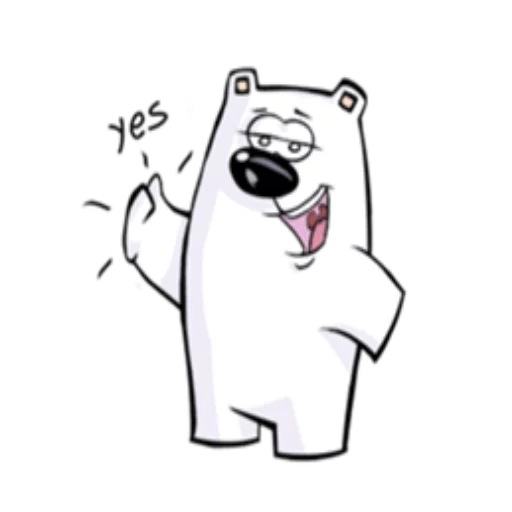 urso branco, urso fofo, urso polar, urso polar