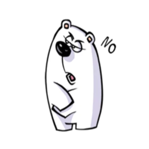 bear, ours blanc, l'ours est mignon, ours polaire, ours polaire
