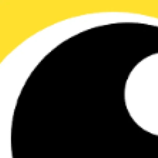 yin yang, tao yin yang, taoïsme yin yang, sts noir et blanc jaune, logo noir et blanc jaune