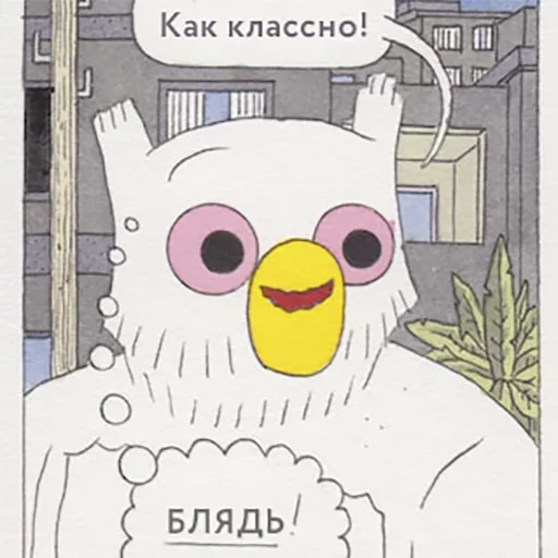 сова, твиттер, арараши, сова мем, megg mogg and owl сова мемы