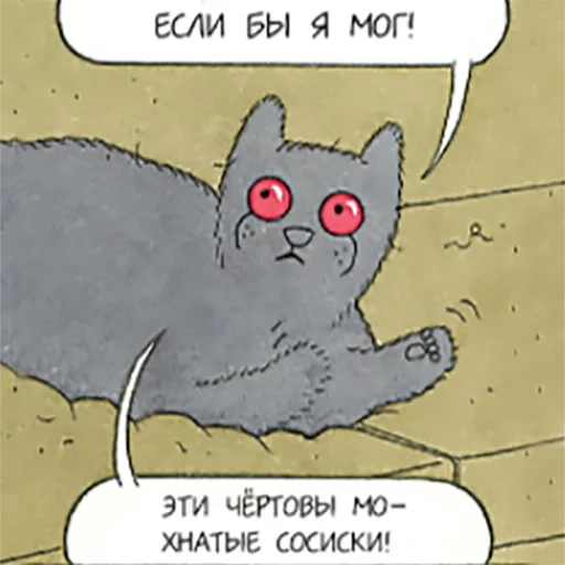 котик, кошка, могг кот, mogg cat, кот хаха классик