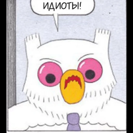 owl, funny