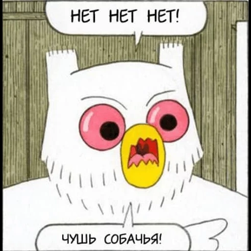 owl, the owl's joke