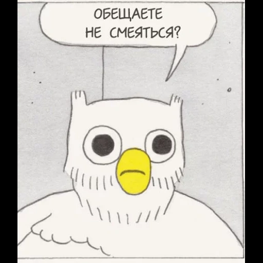 owl, owl meme