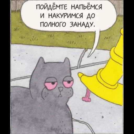 коты, котэ, котики, могг кот, кот хаха классик