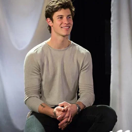 sean mendes, sean mendes pergi, sean mendes mercy, sean mendes lucu, shawn mendes hilang di jepang