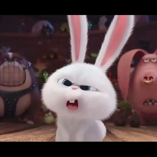 conejo enojado, bola de nieve de conejo, última vida del conejo casero, pets life rabbit, pequeña vida de mascotas conejo