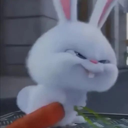 lapin maléfique, lapin maléfique, boule de neige de lapin, petite vie des animaux de compagnie lapin, vie secrète des animaux de compagnie hare snowball