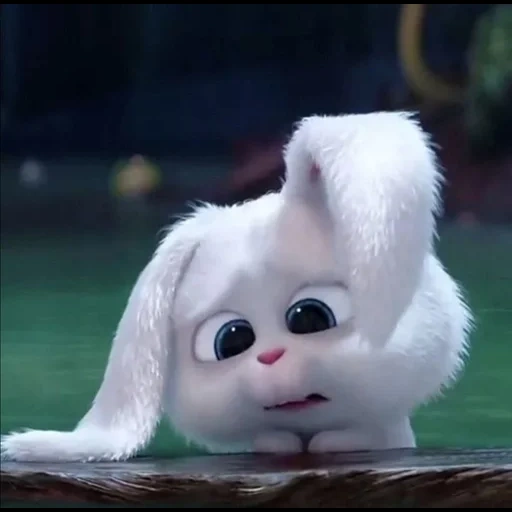 bunnies, rabbit snowball, sad bunny, a sad bunny, cartoon about the bunny