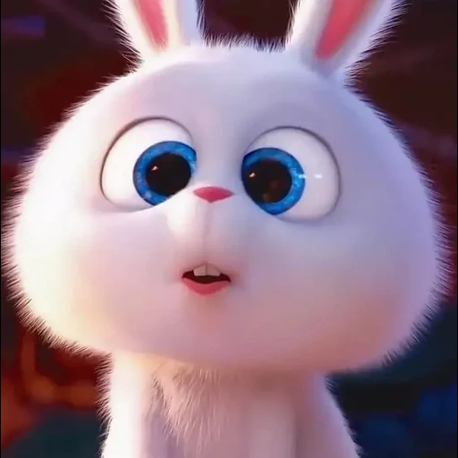 lapin maléfique, boule de neige de lapin, le lapin est drôle, rabbit de dessin animé, petite vie des animaux de compagnie lapin