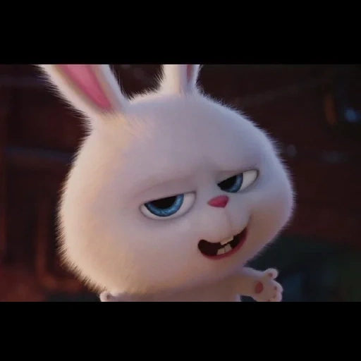 lapin en colère, lapin de boule de neige, rabbit cartoon snowball, secret life home rabbit snowball, petite vie des animaux de compagnie lapin