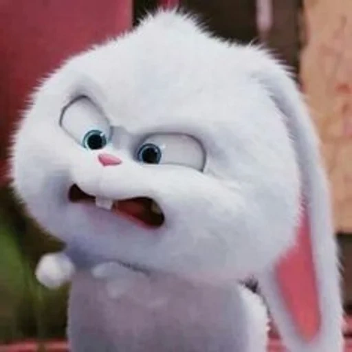 bola de nieve de conejo, conejo malvado, vida secreta del conejo, vida secreta de mascotas liebre bola de nieve, última vida de mascotas conejo de nieve de conejo