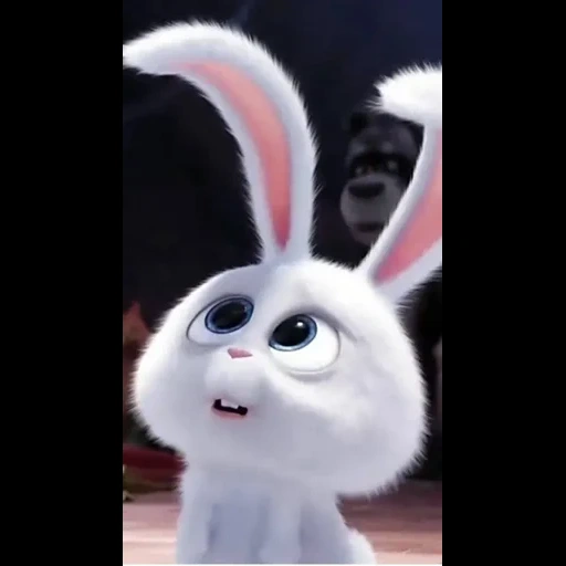 the bunny, bunny, hase cartoon geheimes leben, das geheime leben von haustieren, das geheime leben des haustiers kaninchen ist böse