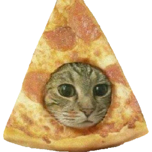 pizza, channel, trixis, pizza cat, rumiantsev alexander