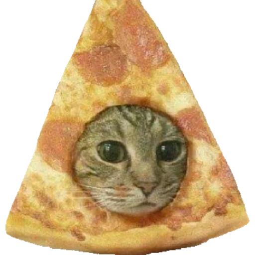 pizza, saluran, trixis, pizza cat, rumyantsev alexander