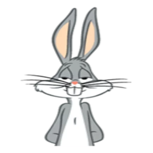 bugs bunny, bunny bunny, lapin lapin, lapin lapin