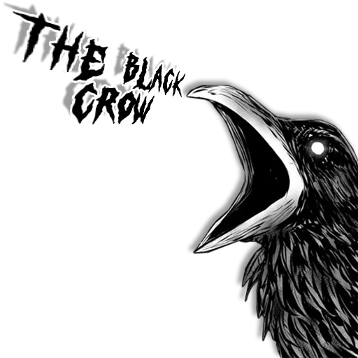 the crow, sketch of the crow, der rabe der rabe, die skizze der krähe, skizze tattoo krähe
