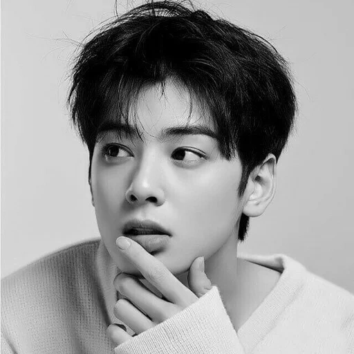 singer, zheng en, cha eun woo, che ennu actor, korean actor