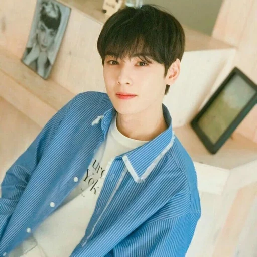 cha enyu, cha eun woo, eunwoo astro, korean actor, astro cha eun woo