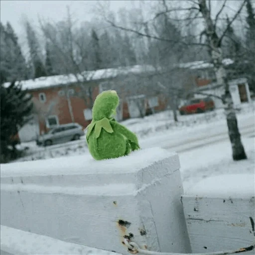 kermit, frog, kermit's sadness, snowman park, comet the frog