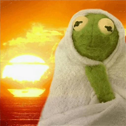 kermit, photo apartment, comet the frog, comet the frog, frog komi aesthetics