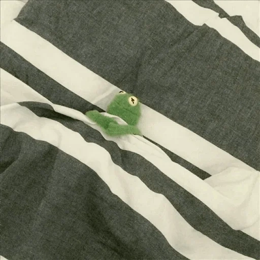 kemit, kermit, meme kmit, kermit la grenouille, kermit la grenouille