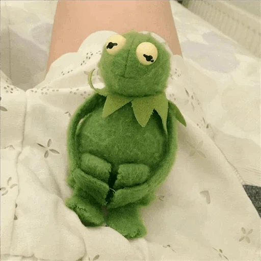 kermit, komi frog, comet the frog, frog komi aesthetics, frog heart comet