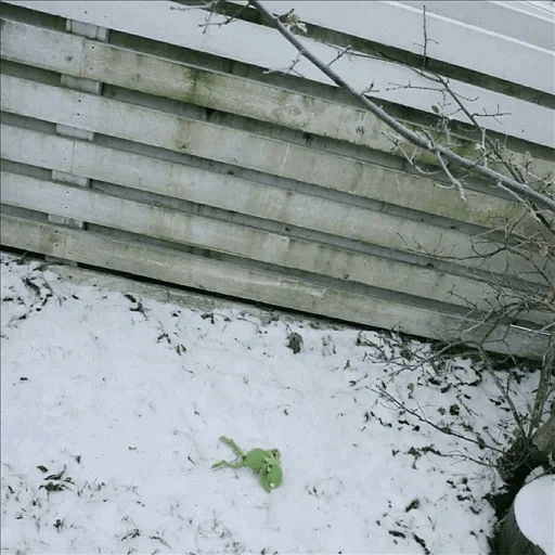 beton, valla, pared de barro, molde de pared, balcón cubierto de nieve