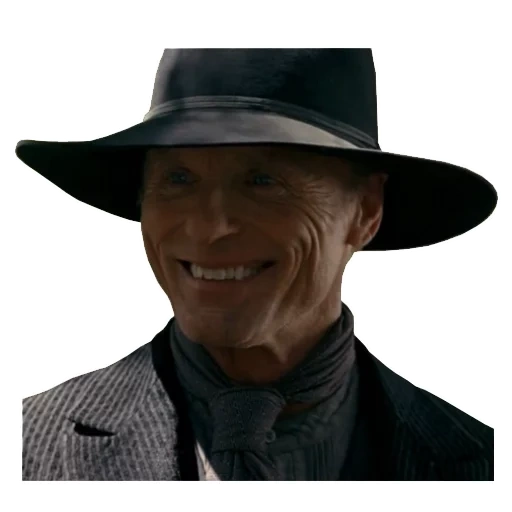 ford, masculino, chapéu de cowboy, mundo ocidental selvagem, ator famoso de chapéu de cowboy