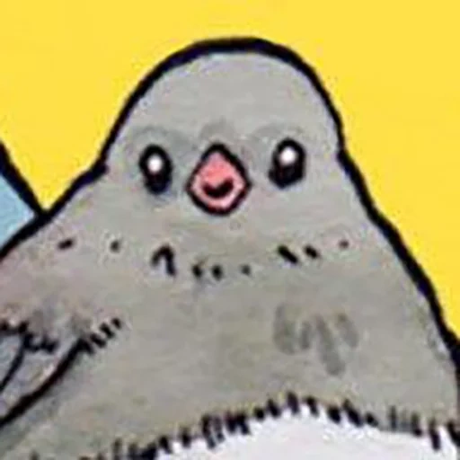 boy, bird mem, bird mem, the pigeon is a meme, a dissatisfied sparrow meme