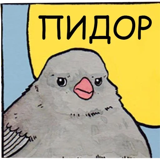 meme by bird, bird mem, annoyed bird meme, vorobey raven mem, a dissatisfied sparrow meme