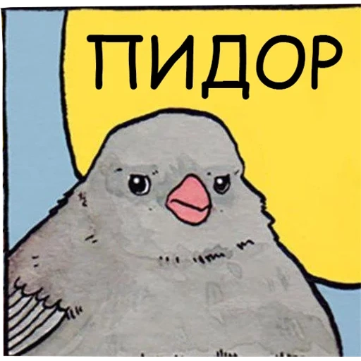 мем птицей, птичка мем, annoyed bird мем, воробей ворона мем, недовольный воробей мем