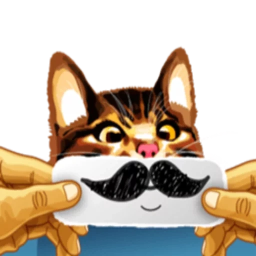 cat, cat meme, cat cook, mustache