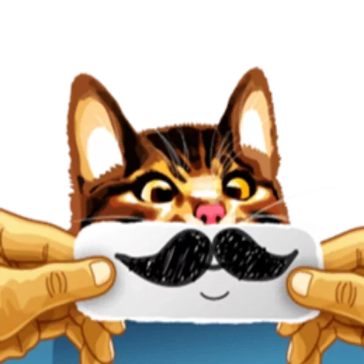 gato, motivo de gato, cookie de gato, gato bigode