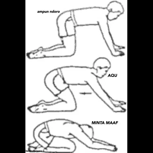 étirement des muscles de l'exercice du dos, étirement des muscles des exercices de l'avant-bras, exercices étirez, exercices pour le pont, exercice