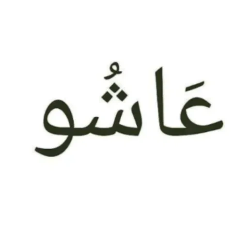 menina, maktub em árabe, inscrições árabes, nome vadim em árabe, árabe
