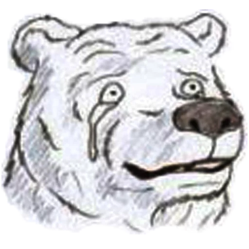 bear, bear muzzle, bear drawing, bear with a pencil, bear muzzle draw