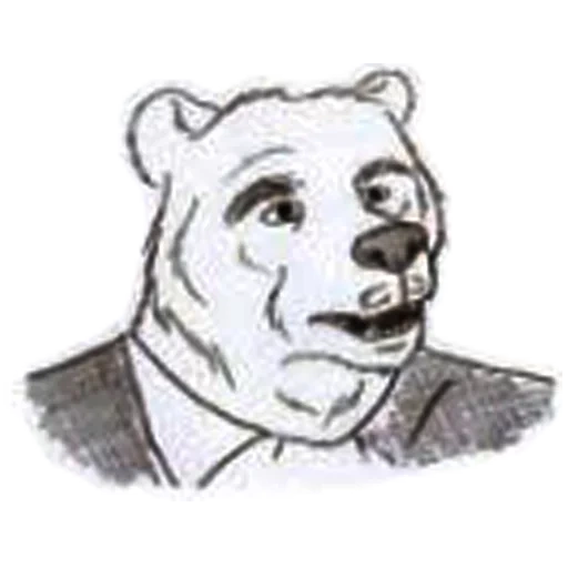 ragazzo, orso, beastar reese, orso polare, disegno di orso