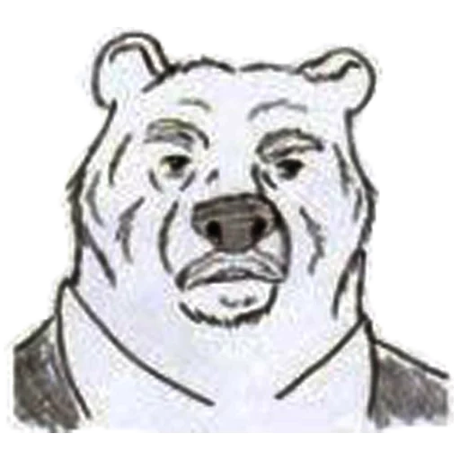 boy, bear, bear sketch, bear head, the bear is black