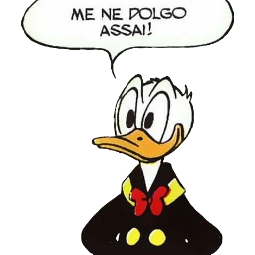 broma, donald, pato tonto, pato donald, sra donald duck