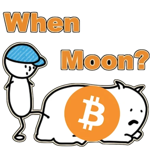 münze, bitcoin, bitcoin katzen, bitcoin animation, animierter bitcoin