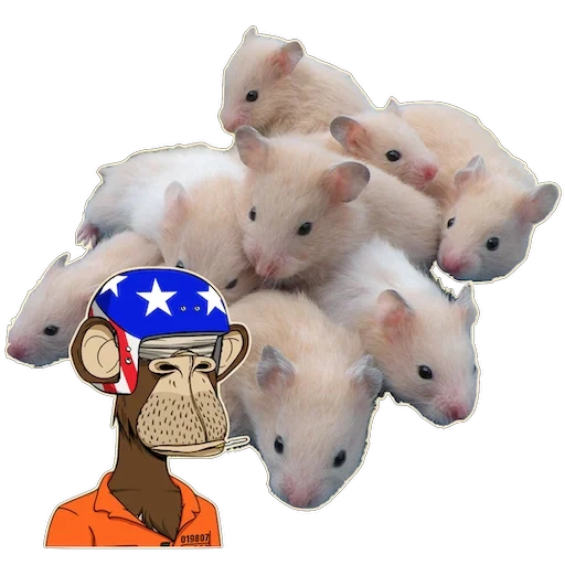 hamster, hamster syrer, dzungarischer hamster, syrische hamsterperle, der syrische hamster ist klein